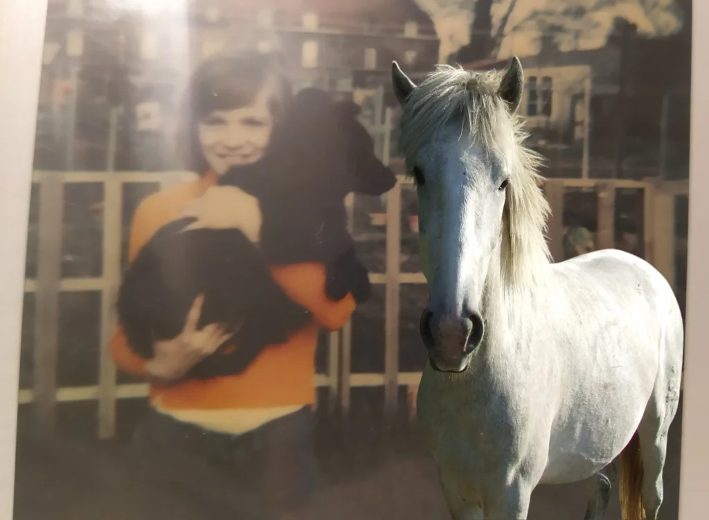 Un enfant de 10 ans avec un jeune chien, présence douce et guérissante, et un cheval en arrière-plan